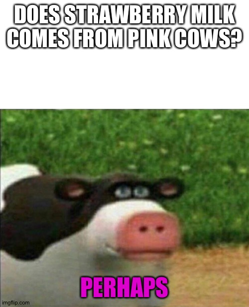 Perhaps cow | DOES STRAWBERRY MILK COMES FROM PINK COWS? PERHAPS | image tagged in perhaps cow | made w/ Imgflip meme maker