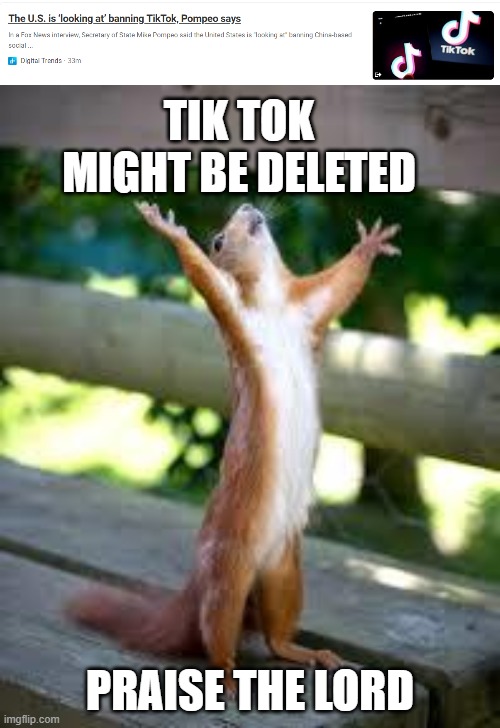 Yass |  TIK TOK MIGHT BE DELETED; PRAISE THE LORD | image tagged in praise squirrel | made w/ Imgflip meme maker