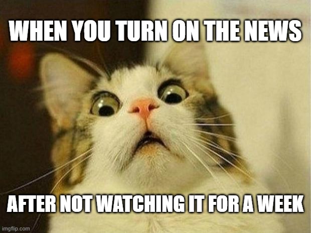 Scared Cat Meme | WHEN YOU TURN ON THE NEWS; AFTER NOT WATCHING IT FOR A WEEK | image tagged in memes,scared cat | made w/ Imgflip meme maker