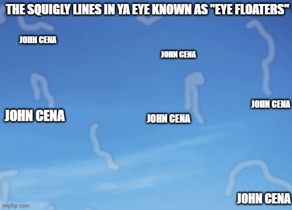 Eye Floaters | THE SQUIGLY LINES IN YA EYE KNOWN AS "EYE FLOATERS"; JOHN CENA; JOHN CENA; JOHN CENA; JOHN CENA; JOHN CENA; JOHN CENA | image tagged in so true memes,memes,dank memes,original meme,meme addict,fresh memes | made w/ Imgflip meme maker