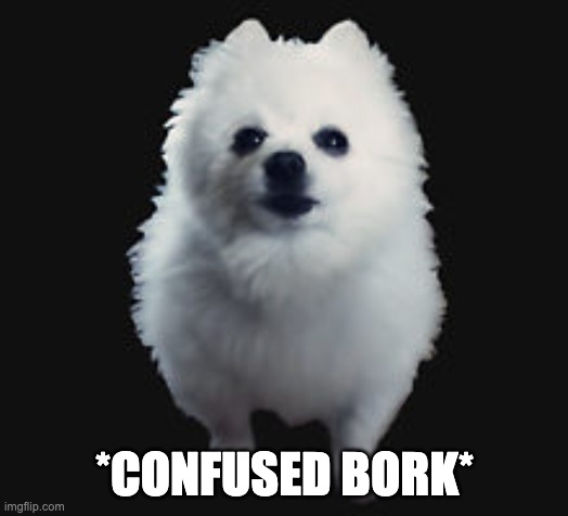 Gabe the dog | *CONFUSED BORK* | image tagged in gabe the dog | made w/ Imgflip meme maker