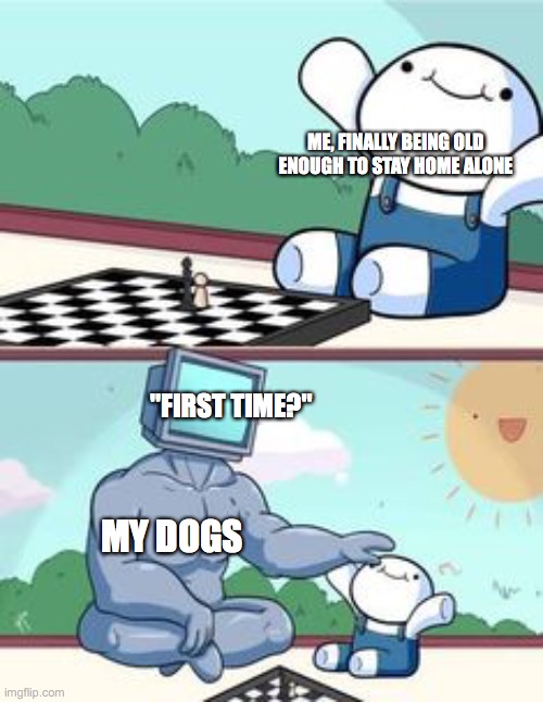 My first actual meme idk what to call it | ME, FINALLY BEING OLD ENOUGH TO STAY HOME ALONE; "FIRST TIME?"; MY DOGS | image tagged in memes | made w/ Imgflip meme maker
