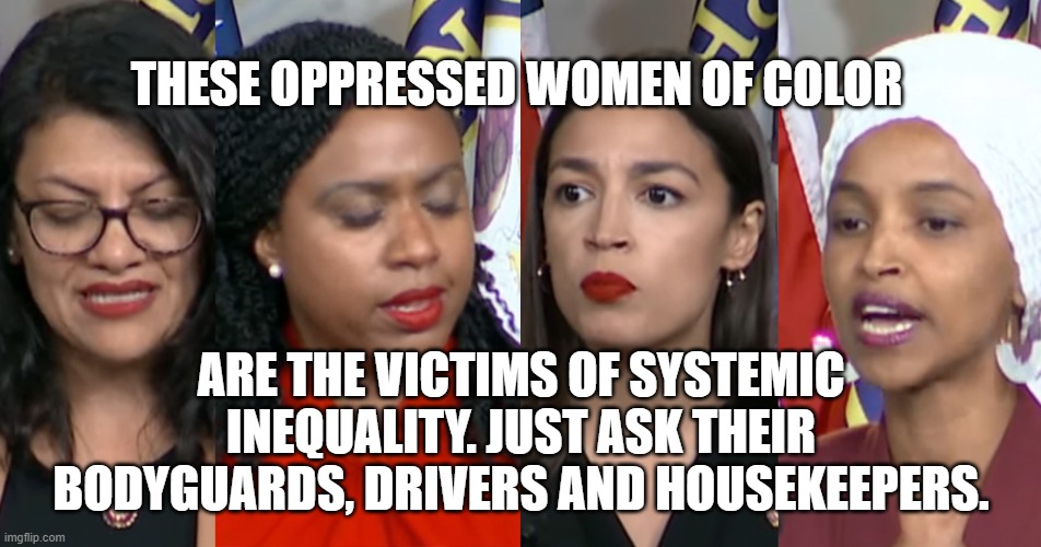AOC Squad | THESE OPPRESSED WOMEN OF COLOR; ARE THE VICTIMS OF SYSTEMIC INEQUALITY. JUST ASK THEIR BODYGUARDS, DRIVERS AND HOUSEKEEPERS. | image tagged in aoc squad | made w/ Imgflip meme maker
