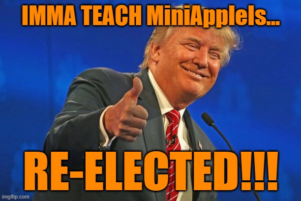 Trump winning smarmy grinning | IMMA TEACH MiniAppleIs... RE-ELECTED!!! | image tagged in trump winning smarmy grinning | made w/ Imgflip meme maker