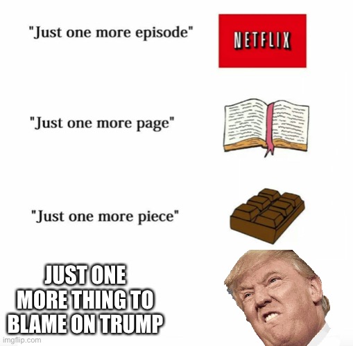 Idiots be like: | JUST ONE MORE THING TO BLAME ON TRUMP | image tagged in just one more | made w/ Imgflip meme maker