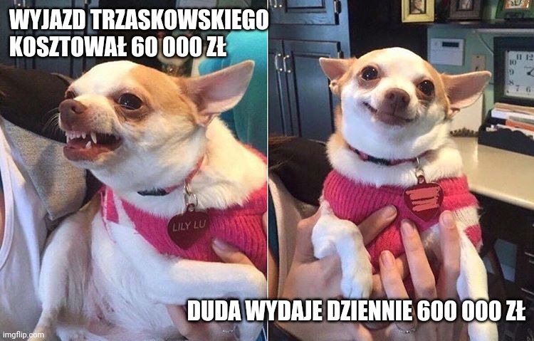 angry dog meme | WYJAZD TRZASKOWSKIEGO KOSZTOWAŁ 60 000 ZŁ; DUDA WYDAJE DZIENNIE 600 000 ZŁ | image tagged in angry dog meme | made w/ Imgflip meme maker