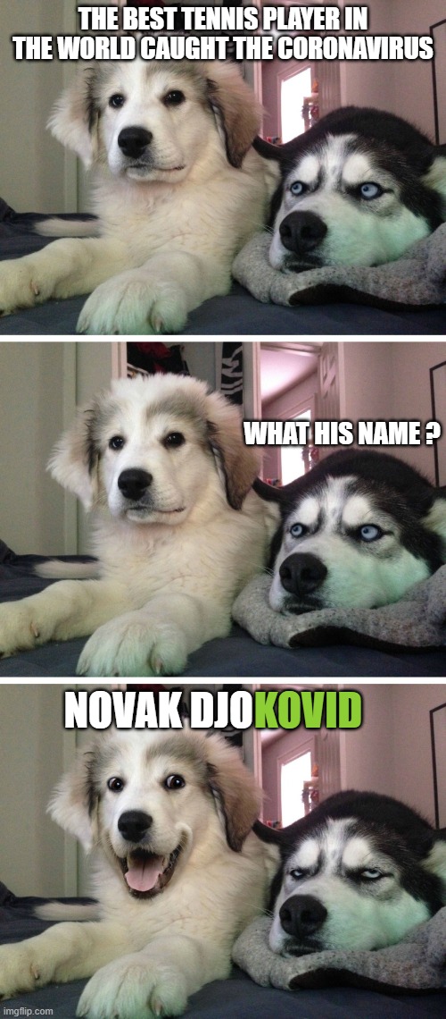 Destiny ? | THE BEST TENNIS PLAYER IN THE WORLD CAUGHT THE CORONAVIRUS; WHAT HIS NAME ? KOVID; NOVAK DJO | image tagged in bad pun dogs,tennis,sports,wordplay,dark humor | made w/ Imgflip meme maker