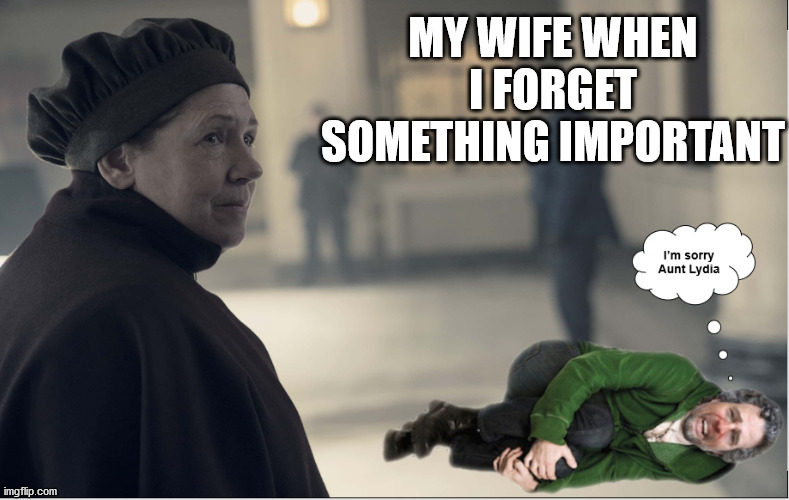 Old Forgetful | MY WIFE WHEN I FORGET SOMETHING IMPORTANT | image tagged in never forget,forgetful,forgetting,forgetful old man,i didn't forget | made w/ Imgflip meme maker