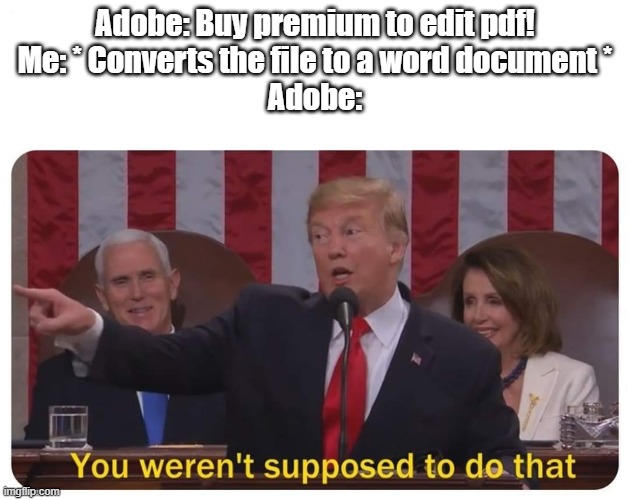 yes i'm poor | Adobe: Buy premium to edit pdf!
Me: * Converts the file to a word document *
Adobe: | image tagged in you weren't supposed to do that | made w/ Imgflip meme maker