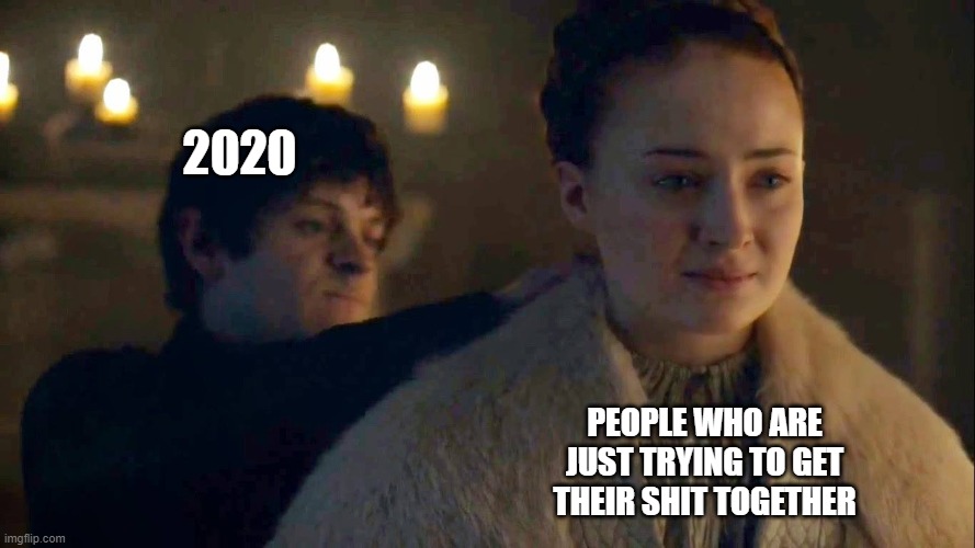 2020 GOT | 2020; PEOPLE WHO ARE JUST TRYING TO GET THEIR SHIT TOGETHER | image tagged in 2020,sansa stark,ramsay bolton | made w/ Imgflip meme maker