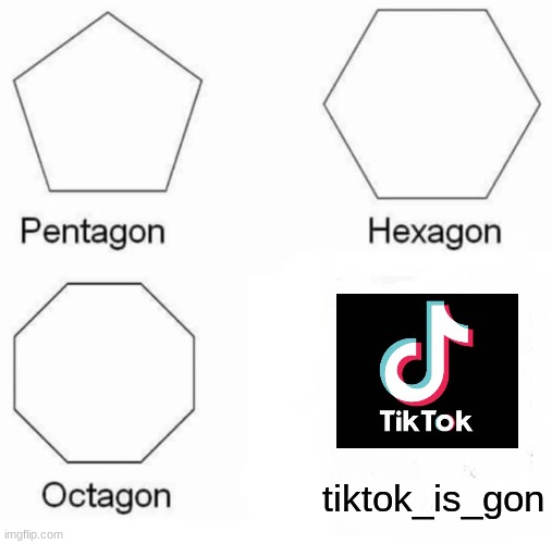 tiktok is gone | tiktok_is_gon | image tagged in memes,pentagon hexagon octagon | made w/ Imgflip meme maker