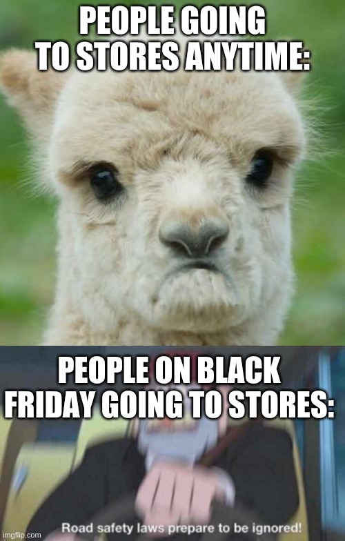 PEOPLE GOING TO STORES ANYTIME:; PEOPLE ON BLACK FRIDAY GOING TO STORES: | image tagged in dissatisfied alpaca,road safety laws prepare to be ignored | made w/ Imgflip meme maker