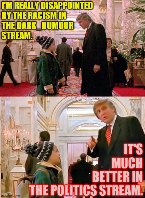 Some of the most powerful acting is simply telling the truth. | I'M REALLY DISAPPOINTED
BY THE RACISM IN
THE DARK_HUMOUR
STREAM. IT'S
MUCH
BETTER IN
THE POLITICS STREAM. | image tagged in trump home alone,trump home alone 2,memes,racism,see how this feels wrong,what happened to him | made w/ Imgflip meme maker