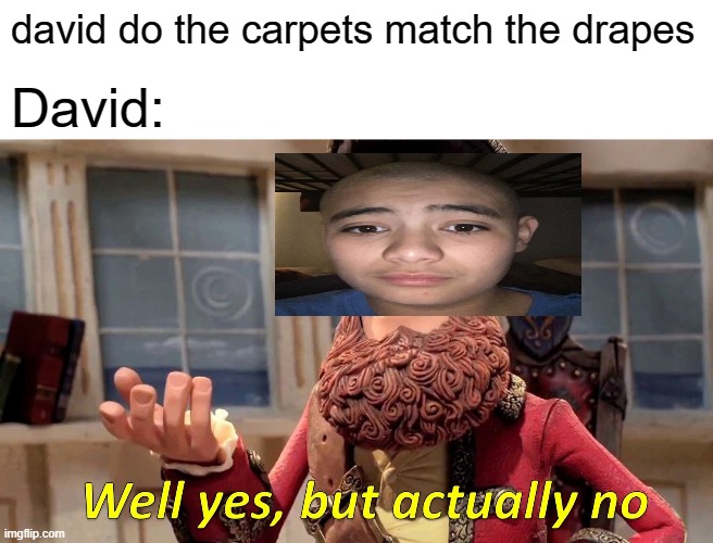 Well Yes, But Actually No | david do the carpets match the drapes; David: | image tagged in memes,well yes but actually no | made w/ Imgflip meme maker