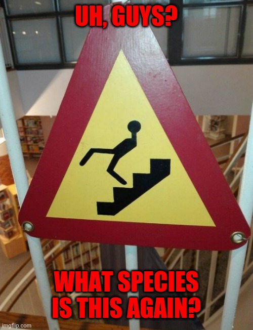 ¿ | UH, GUYS? WHAT SPECIES IS THIS AGAIN? | image tagged in memes,help,lol | made w/ Imgflip meme maker