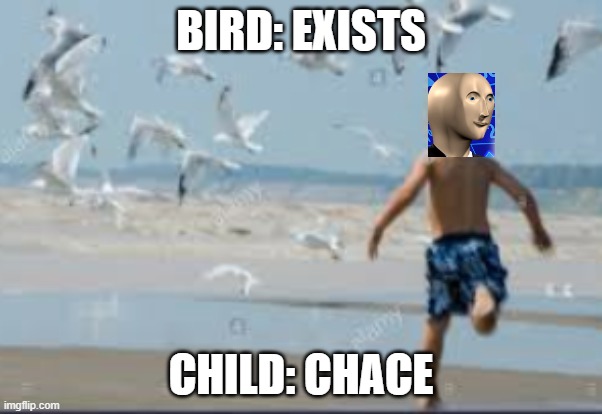 Bird Stonks | BIRD: EXISTS; CHILD: CHACE | image tagged in stonks,birds | made w/ Imgflip meme maker