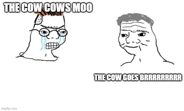 haha brrrrrrr | THE COW COWS MOO THE COW GOES BRRRRRRRRR | image tagged in haha brrrrrrr | made w/ Imgflip meme maker