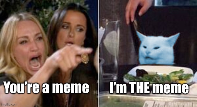 Woman pointing at RayCat | You’re a meme I’m THE meme | image tagged in woman pointing at raycat | made w/ Imgflip meme maker