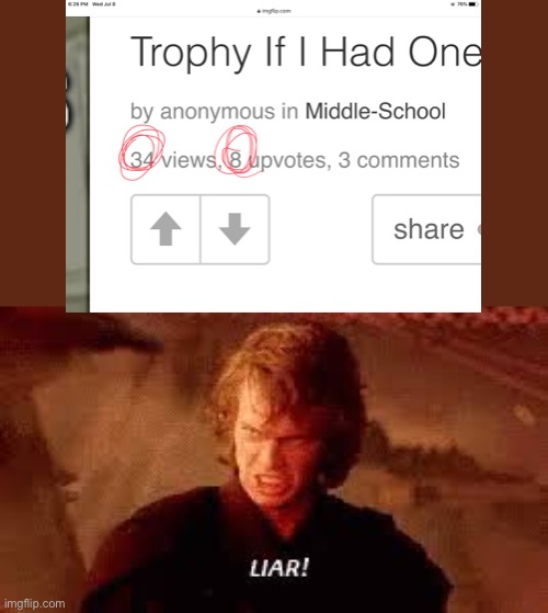 image tagged in anakin liar | made w/ Imgflip meme maker