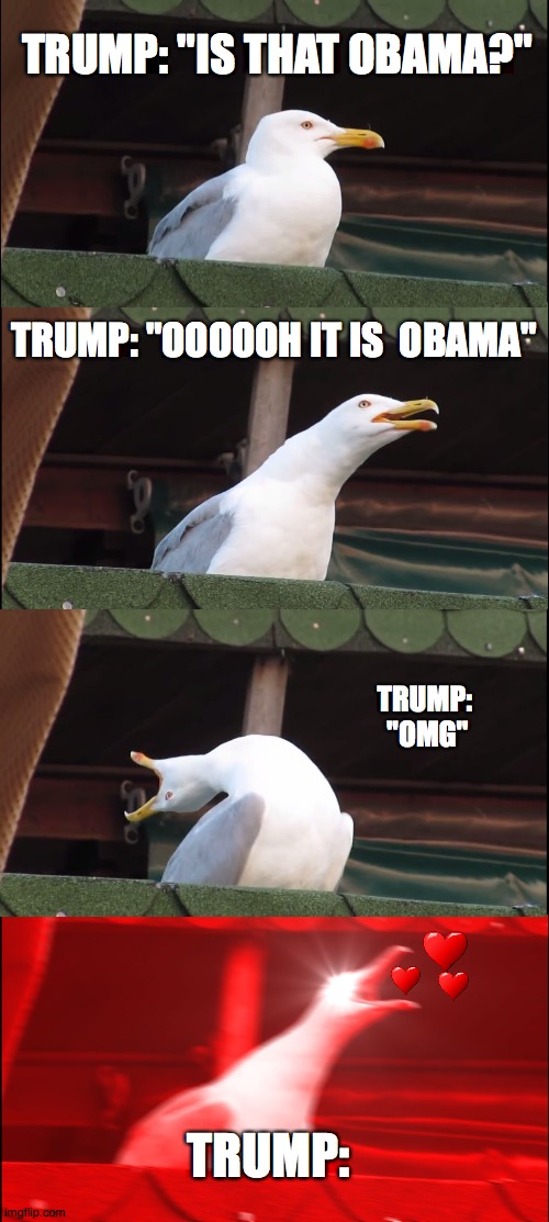 Love Struck | TRUMP: "IS THAT OBAMA?"; TRUMP: "OOOOOH IT IS  OBAMA"; TRUMP: 
"OMG"; TRUMP: | image tagged in memes,inhaling seagull | made w/ Imgflip meme maker