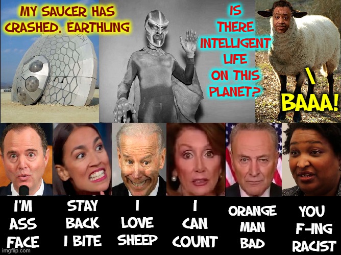 So, this Alien Lands on Earth... | MY SAUCER HAS CRASHED, EARTHLING; IS THERE INTELLIGENT LIFE ON THIS PLANET? \ BAAA! I
LOVE
SHEEP; I
CAN
COUNT; STAY BACK I BITE; I'M
ASS
FACE; ORANGE
MAN
BAD; YOU 
F—ING
RACIST | image tagged in vince vance,al sharpton racist,intelligent life,flying saucer,crazy aoc,nancy pelosi wtf | made w/ Imgflip meme maker