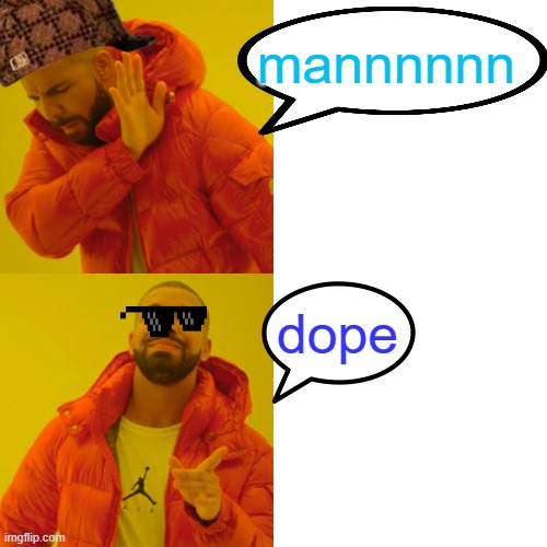 cool dog! | mannnnnn; dope | image tagged in memes,drake hotline bling | made w/ Imgflip meme maker