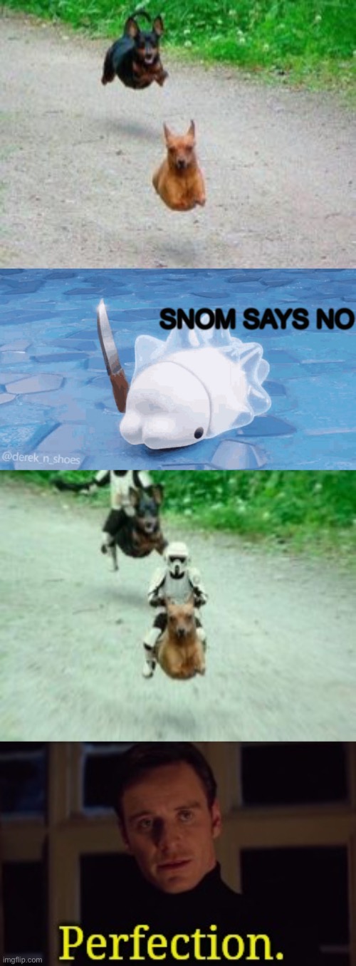 Photo edit | image tagged in perfection,snom says no | made w/ Imgflip meme maker