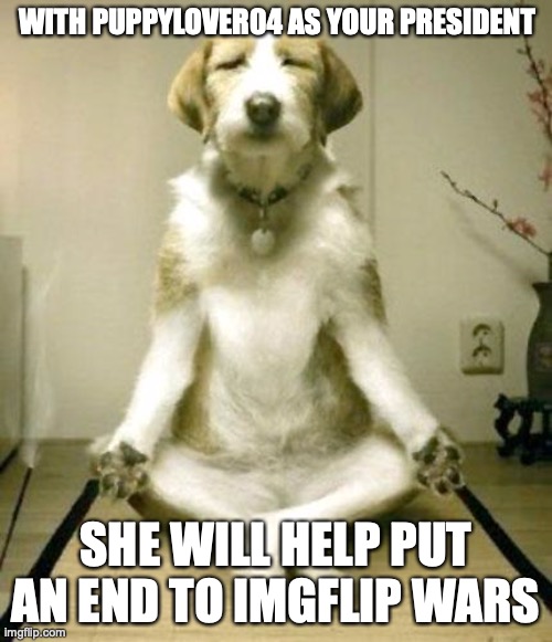 I will do the best I can | WITH PUPPYLOVER04 AS YOUR PRESIDENT; SHE WILL HELP PUT AN END TO IMGFLIP WARS | image tagged in inner peace dog,vote puppy,end imgflip wars,join my campaign | made w/ Imgflip meme maker