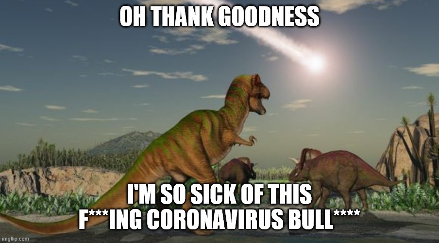 Dinosaurs meteor | OH THANK GOODNESS; I'M SO SICK OF THIS F***ING CORONAVIRUS BULL**** | image tagged in dinosaurs meteor | made w/ Imgflip meme maker