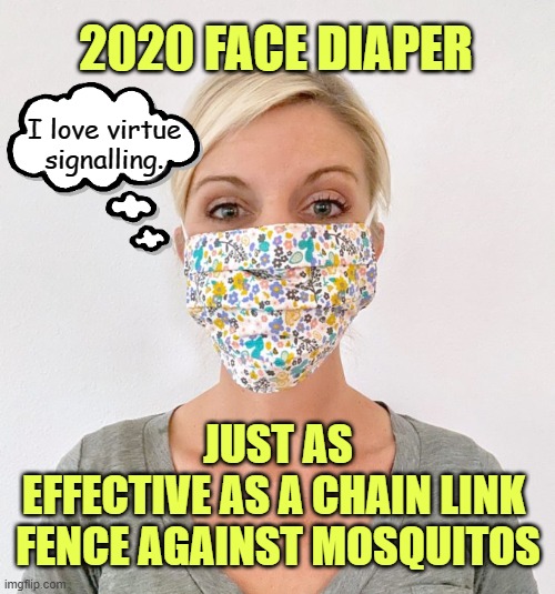 Enjoy your bacterial pneumonia, lemmings. COVID is a lie. | 2020 FACE DIAPER; I love virtue signalling. JUST AS
EFFECTIVE AS A CHAIN LINK 
FENCE AGAINST MOSQUITOS | image tagged in cloth face mask,covid-19,covidiots,hoax | made w/ Imgflip meme maker