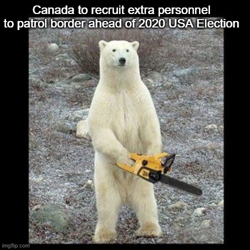 I like the bear | Canada to recruit extra personnel to patrol border ahead of 2020 USA Election | image tagged in memes,chainsaw bear | made w/ Imgflip meme maker