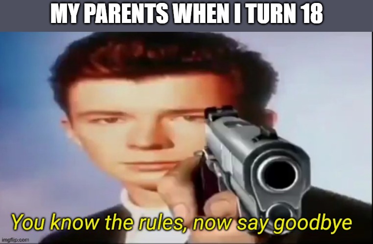 You know the rules, now say goodbye | MY PARENTS WHEN I TURN 18 | image tagged in you know the rules now say goodbye,i'm 15 so don't try it,who reads these | made w/ Imgflip meme maker