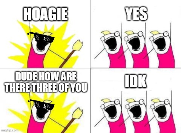 hoagie | HOAGIE; YES; IDK; DUDE HOW ARE THERE THREE OF YOU | image tagged in memes,what do we want | made w/ Imgflip meme maker