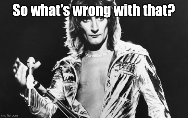 Rod Stewart | So what’s wrong with that? | image tagged in rod stewart | made w/ Imgflip meme maker