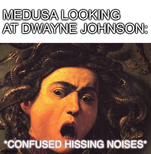 Are you kidding me?! | MEDUSA LOOKING AT DWAYNE JOHNSON:; *CONFUSED HISSING NOISES* | image tagged in blank white template,medusa | made w/ Imgflip meme maker