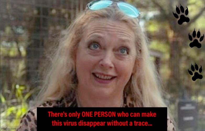 Carole Gets it Done! | image tagged in carole,baskin,coronavirus | made w/ Imgflip meme maker