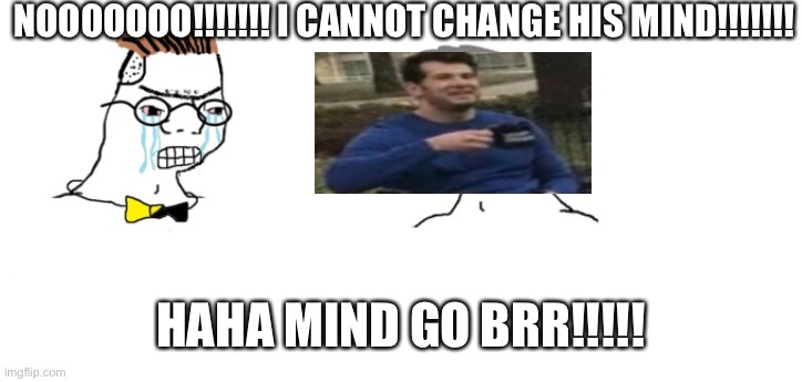 Can never change his mind | NOOOOOOO!!!!!!! I CANNOT CHANGE HIS MIND!!!!!!! HAHA MIND GO BRR!!!!! | image tagged in nooo haha go brrr | made w/ Imgflip meme maker