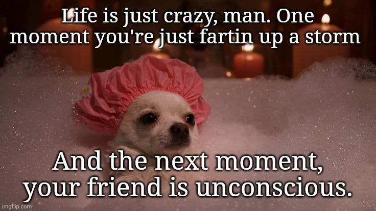Chihuahua Bubble Bath | Life is just crazy, man. One moment you're just fartin up a storm; And the next moment, your friend is unconscious. | image tagged in chihuahua bubble bath,farting,fart,doggo,funny memes | made w/ Imgflip meme maker