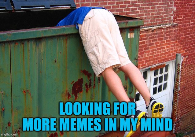 Dumpster Dive | LOOKING FOR MORE MEMES IN MY MIND | image tagged in dumpster dive | made w/ Imgflip meme maker