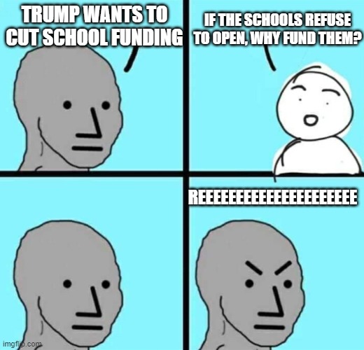Why fund something not in use? | IF THE SCHOOLS REFUSE TO OPEN, WHY FUND THEM? TRUMP WANTS TO CUT SCHOOL FUNDING; REEEEEEEEEEEEEEEEEEEEE | image tagged in angry npc wojak | made w/ Imgflip meme maker