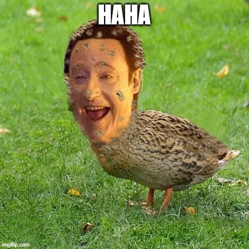 The Data Ducky | HAHA | image tagged in the data ducky | made w/ Imgflip meme maker
