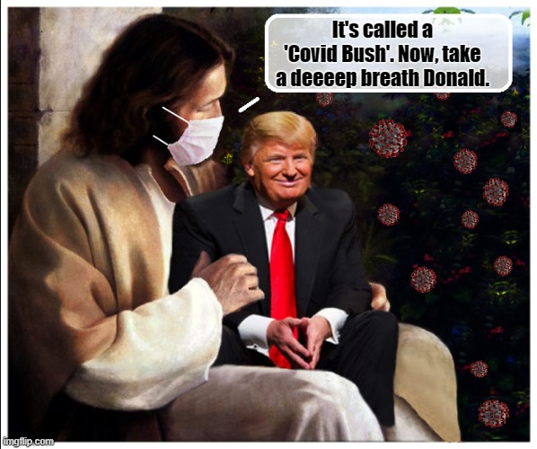 The Chosen One.... | It's called a 'Covid Bush'. Now, take a deeeep breath Donald. | image tagged in smiling jesus,trump is a moron,covid-19,donald trump is an idiot | made w/ Imgflip meme maker