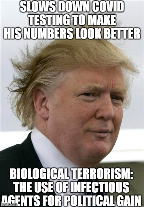 trump | SLOWS DOWN COVID TESTING TO MAKE HIS NUMBERS LOOK BETTER; BIOLOGICAL TERRORISM: THE USE OF INFECTIOUS AGENTS FOR POLITICAL GAIN | image tagged in trump's hair,maga,china virus,trump,kung flu,wuhan | made w/ Imgflip meme maker