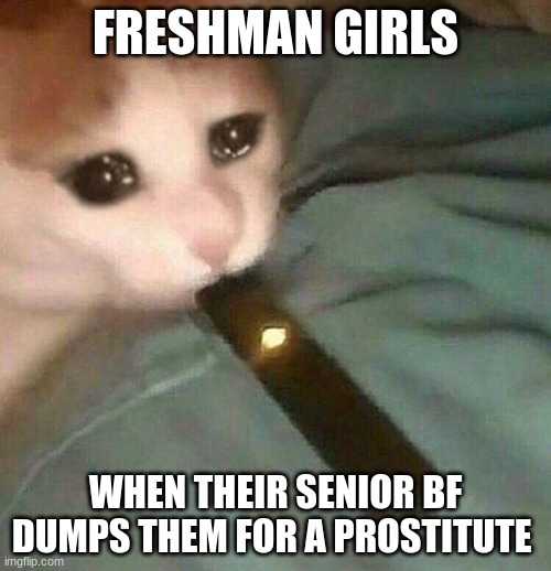 freshman girl problems | FRESHMAN GIRLS; WHEN THEIR SENIOR BF DUMPS THEM FOR A PROSTITUTE | image tagged in sad juul cat | made w/ Imgflip meme maker