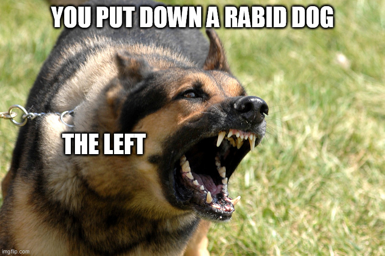 Barking dog | YOU PUT DOWN A RABID DOG; THE LEFT | image tagged in barking dog | made w/ Imgflip meme maker