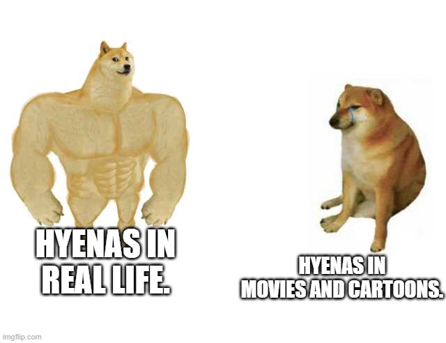 Buff Doge vs. Cheems | HYENAS IN MOVIES AND CARTOONS. HYENAS IN REAL LIFE. | image tagged in strong doge weak doge | made w/ Imgflip meme maker