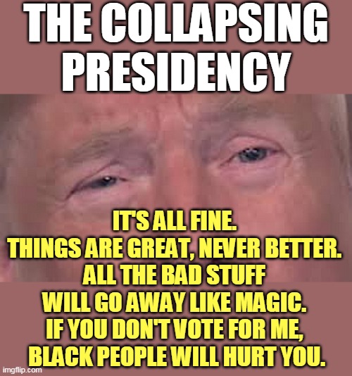 Dilated pupils again. One sick f*ck. | THE COLLAPSING PRESIDENCY; IT'S ALL FINE. 
THINGS ARE GREAT, NEVER BETTER. 
ALL THE BAD STUFF 
WILL GO AWAY LIKE MAGIC. 
IF YOU DON'T VOTE FOR ME, 
BLACK PEOPLE WILL HURT YOU. | image tagged in trump,collapse,president,loser,incompetence,racism | made w/ Imgflip meme maker