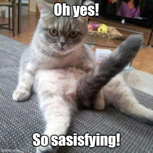 Cat boner | Oh yes! So sasisfying! | image tagged in cat boner | made w/ Imgflip meme maker