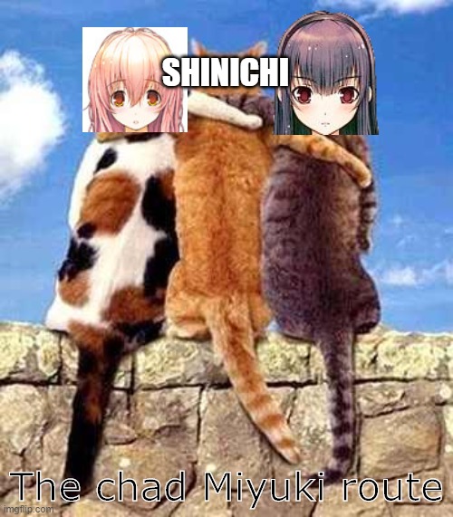 You and Me and Her and Yuutarou | SHINICHI; The chad Miyuki route | image tagged in cat friends,aoi,miyuki,shinichi,visual novel | made w/ Imgflip meme maker