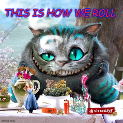 THIS IS HOW WE ROLL | made w/ Imgflip meme maker